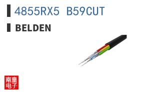 4855RX5 B59CUT