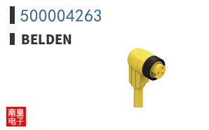 500004263
