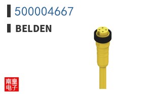 500004667