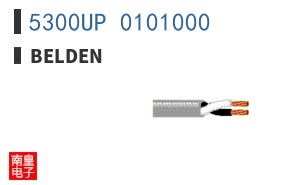 5300UP 0101000