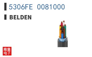 5306FE 0081000
