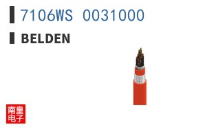 7106WS 0031000