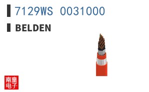 7129WS 0031000