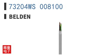 73204WS 008100