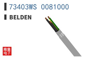 73403WS 0081000