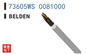 73605WS 0081000