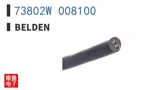 73802W 008100