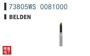 73805WS 0081000
