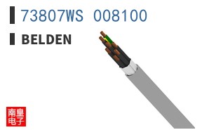 73807WS 008100