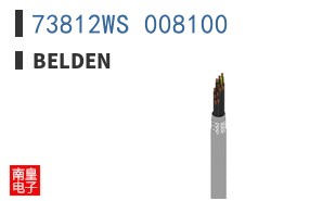 73812WS 008100