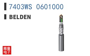 7403WS 0601000