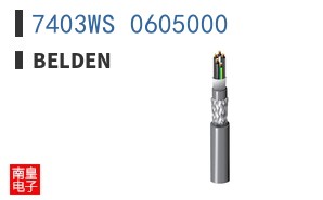 7403WS 0605000