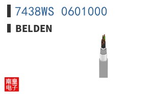 7438WS 0601000
