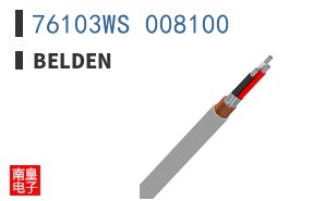 76103WS 008100