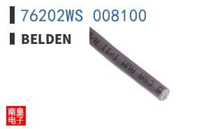 76202WS 008100