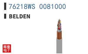 76218WS 0081000