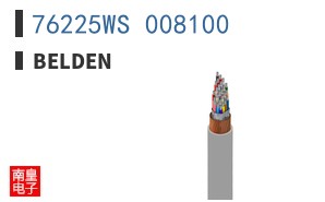 76225WS 008100