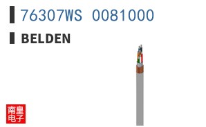 76307WS 0081000