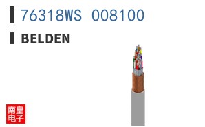 76318WS 008100