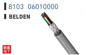 8103 06010000