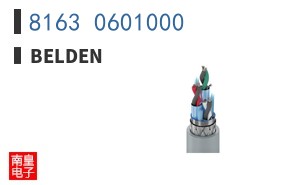 8163 0601000