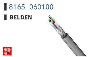 8165 060100