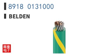 8918 0131000