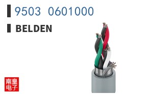 9503 0601000
