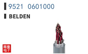 9521 0601000