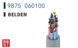 9875 060100