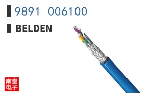 9891 006100