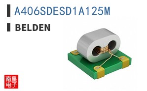 A406SDESD1A125M