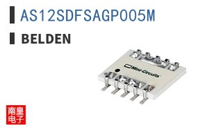 AS12SDFSAGP005M