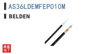 AS36LDEMFEP010M