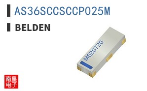 AS36SCCSCCP025M