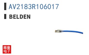 AV2183R106017