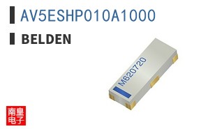 AV5ESHP010A1000