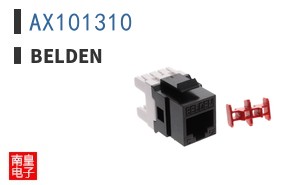 AX101310
