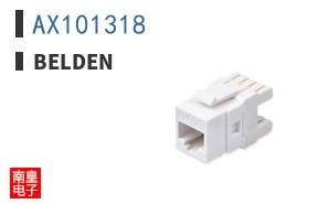 AX101318