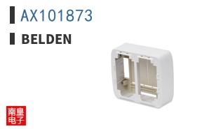 AX101873