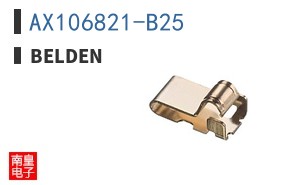 AX106821-B25