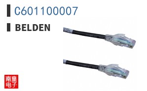 C601100007