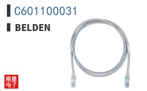 C601100031