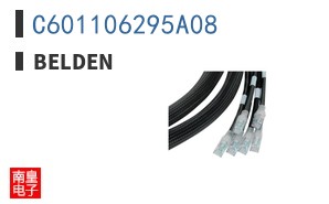 C601106295A08