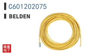 C601202075