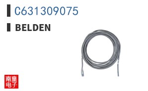 C631309075