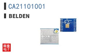 CA21101001