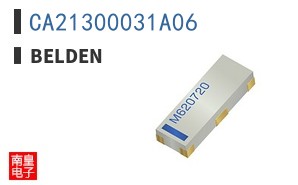 CA21300031A06