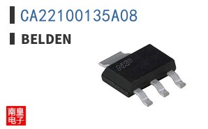 CA22100135A08