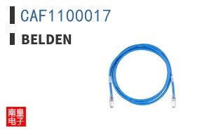 CAF1100017